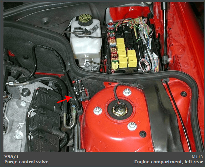 Evaporative Emission Control System leakage