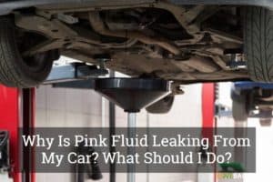Why Is Pink Fluid Leaking From My Car? What Should I Do? – DRIVING LIFE