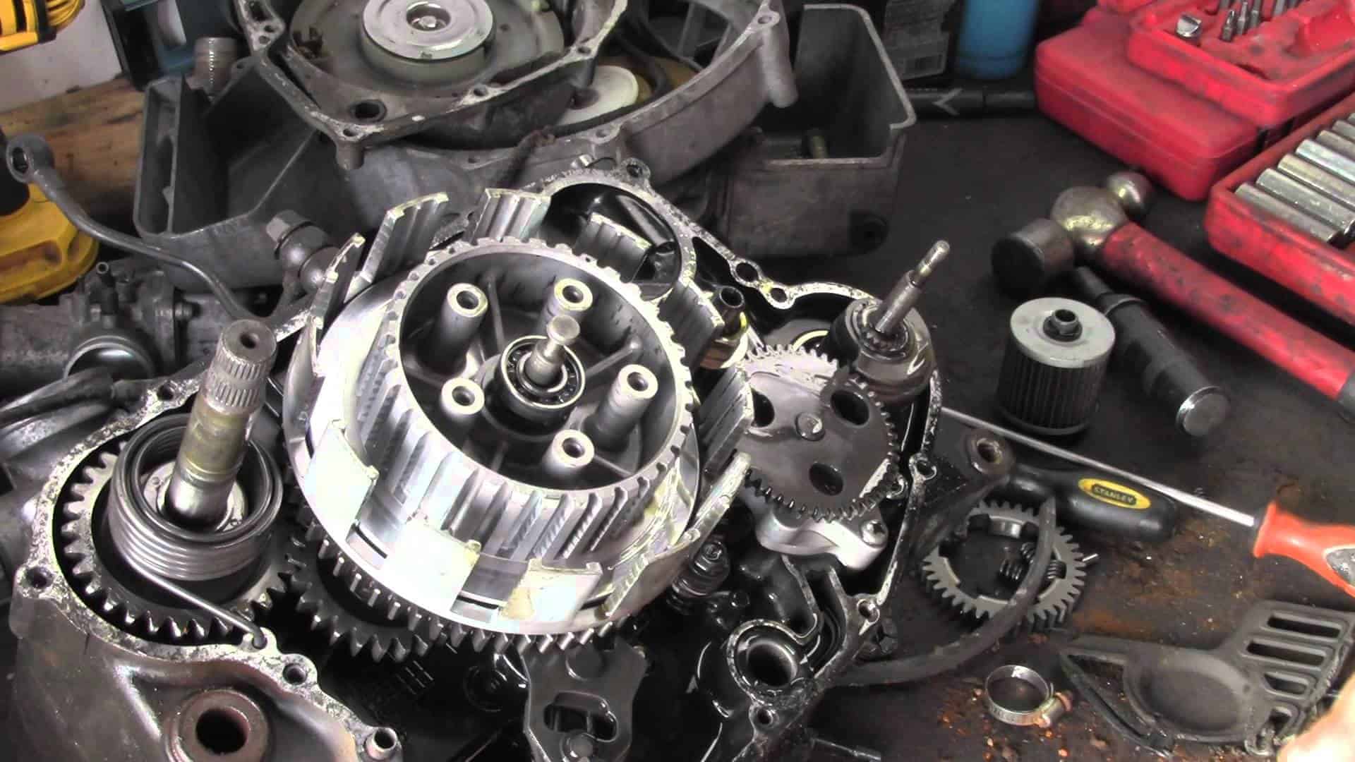 What Happens Inside the Clutch