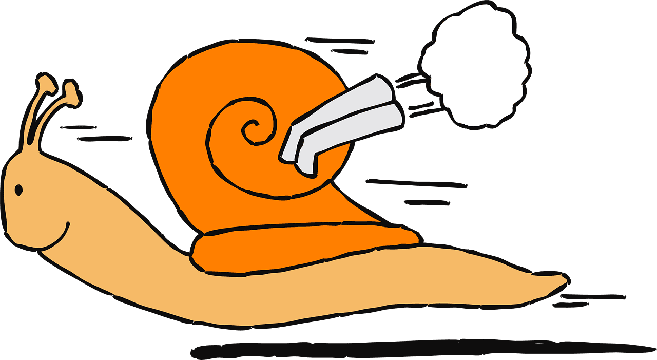 snail-48182_1280