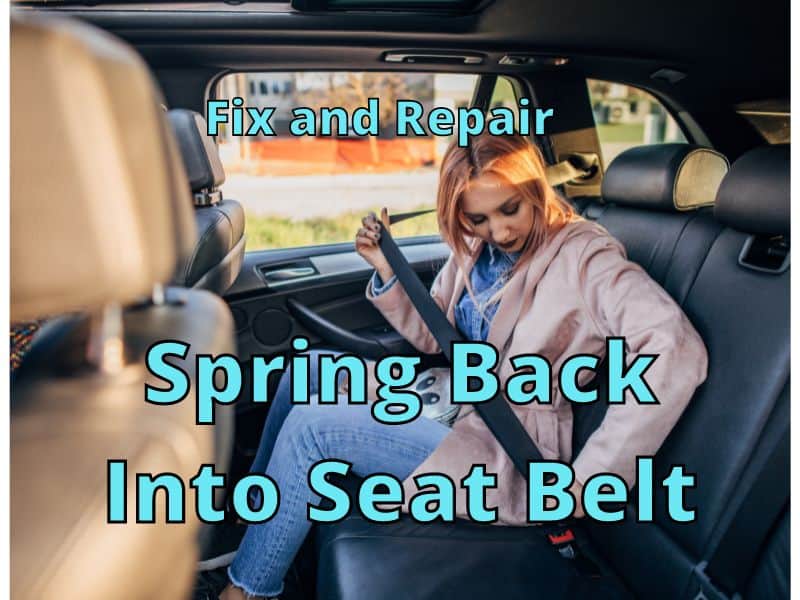 Spring Back Into Seat Belt