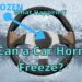 Can a Car Horn Freeze