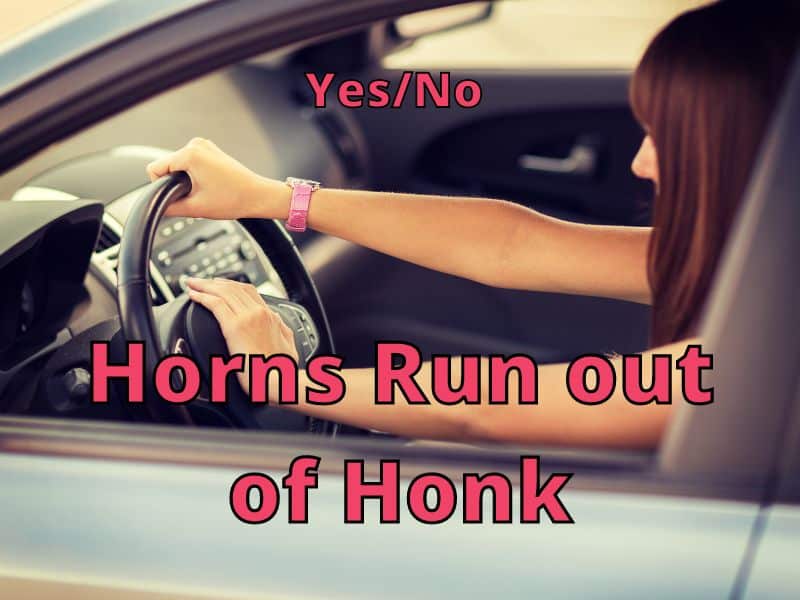 Horns Run out of Honk
