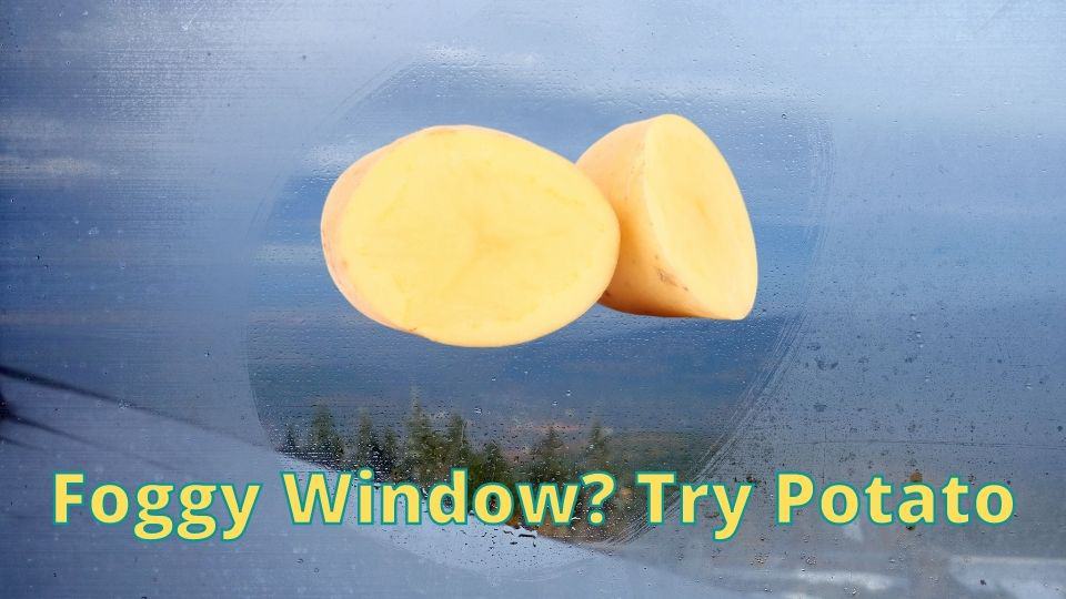 Foggy Window_ Try Potato