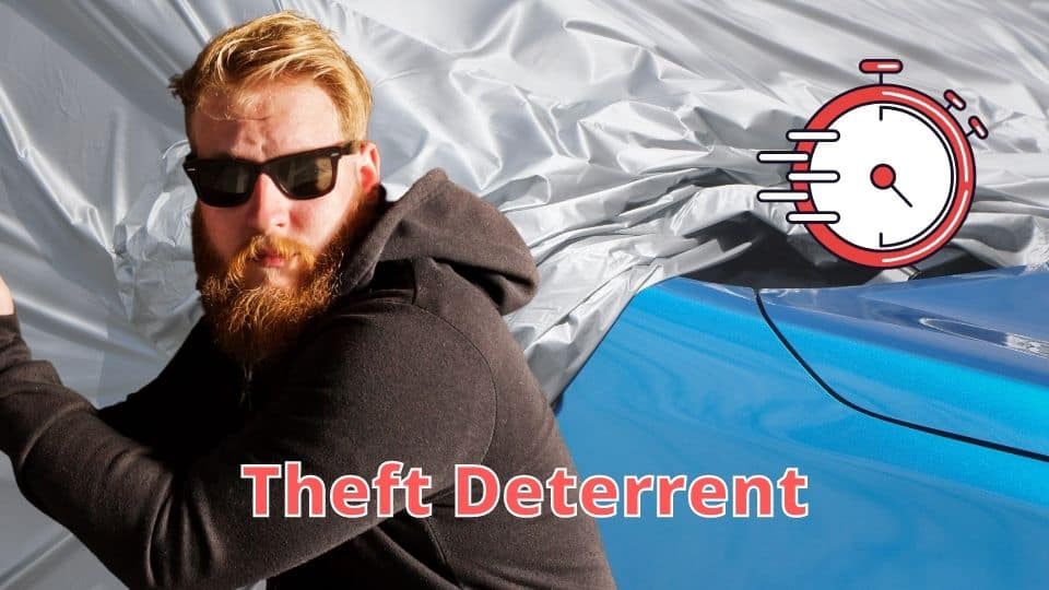 Theft Deterrent