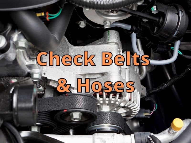 Check Belts  & Hoses